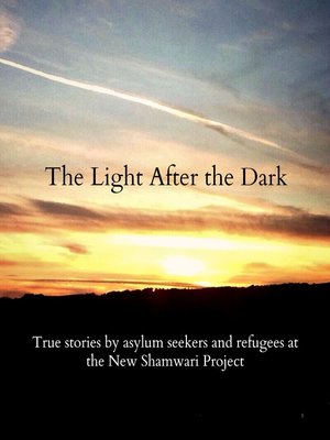 cover image of The Light After the Dark